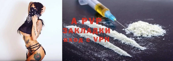 прущие грибы Богородицк