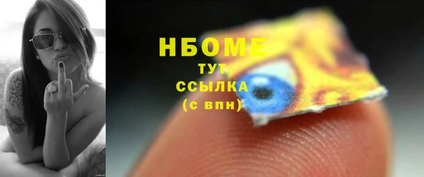 прущие грибы Богородицк